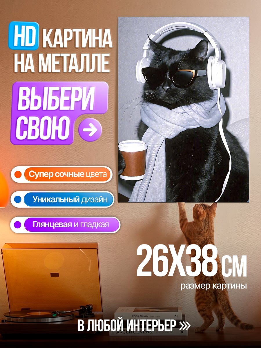 Картина на металле Черный кот в наушниках