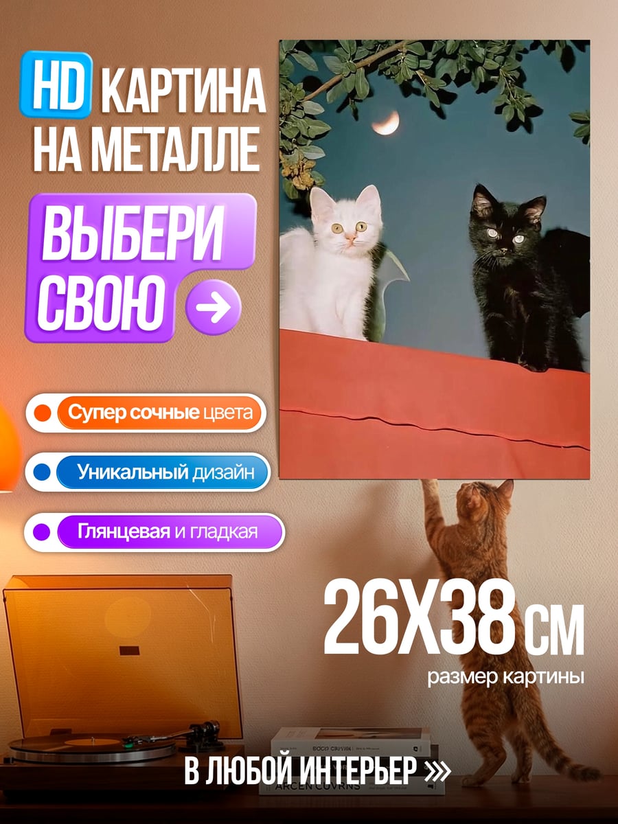 Картина на металле Коты ангелы