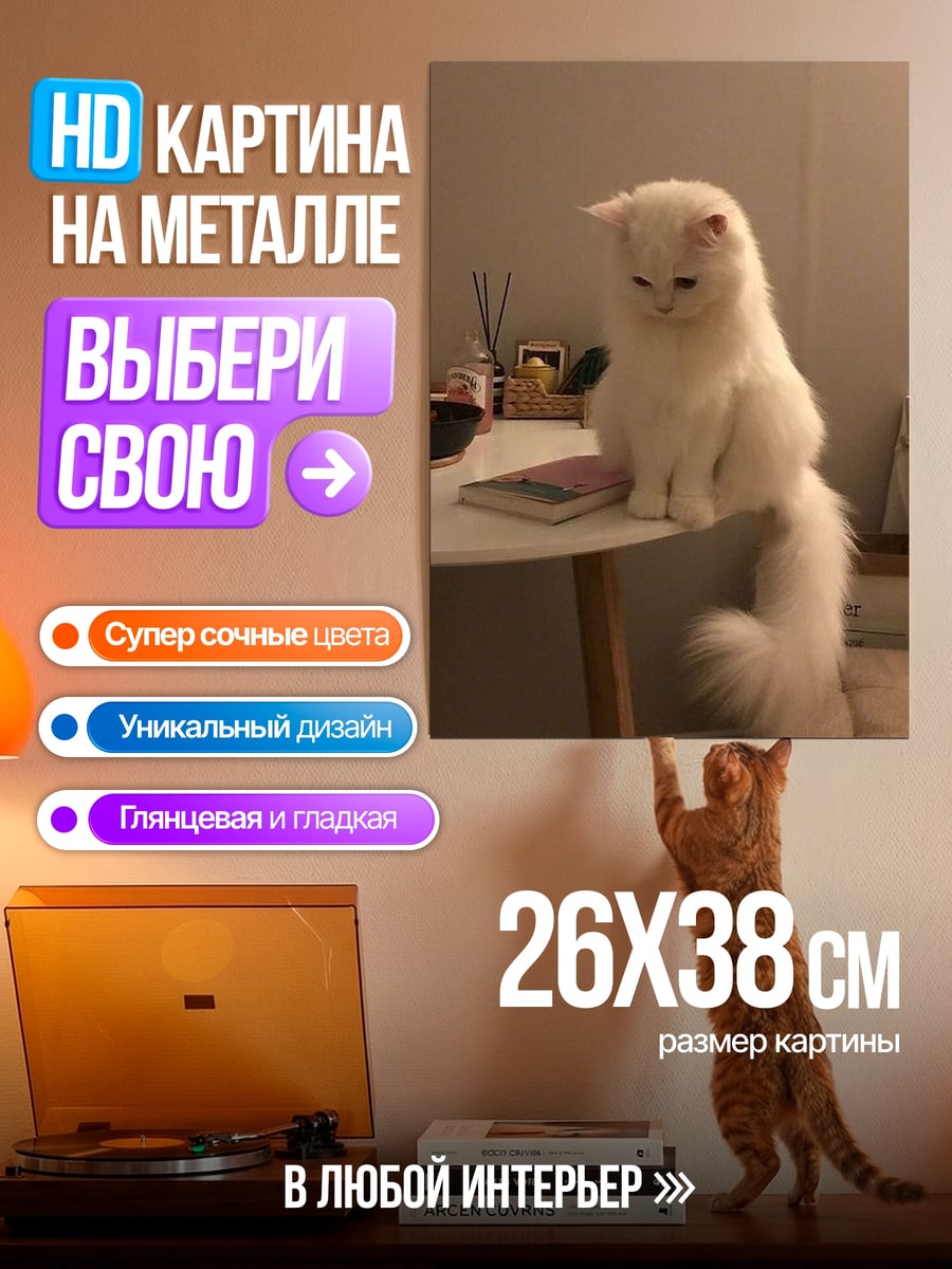 Картина на металле Белый кот на столе