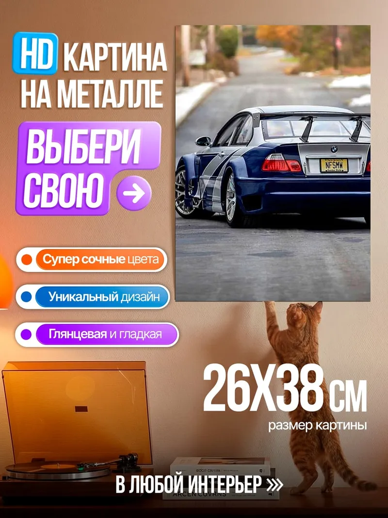 Картина на металле Спортивное купе на дороге