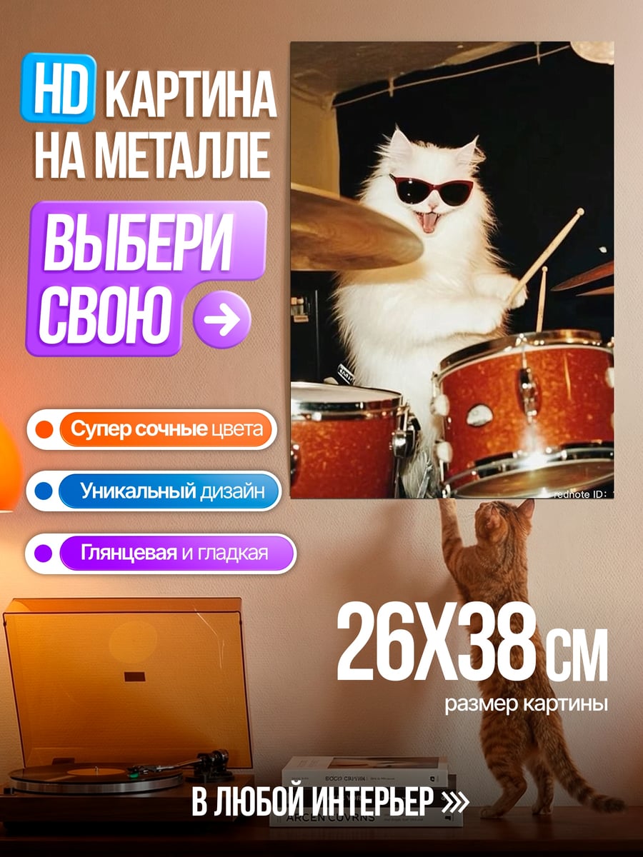Картина на металле Кот барабанщик в очках