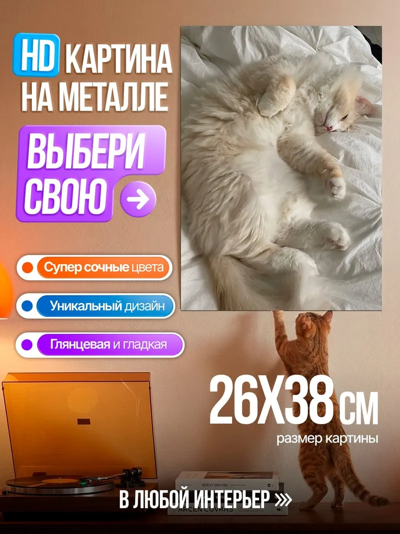Картина на металле Спящий кот