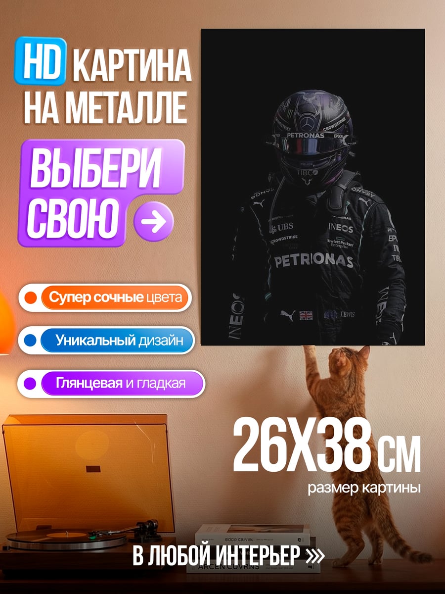 Картина на металле Гонщик Формулы 1