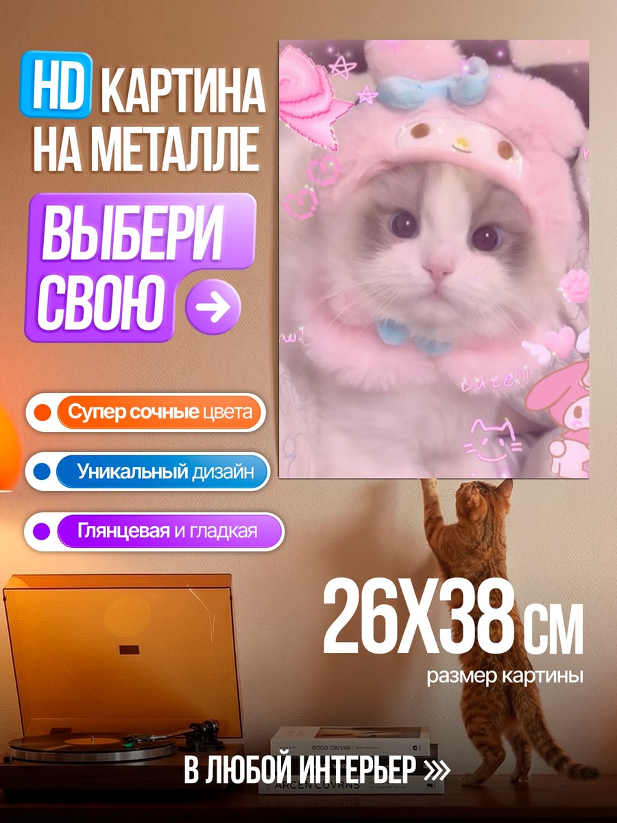 Картина на металле Котенок в шапке