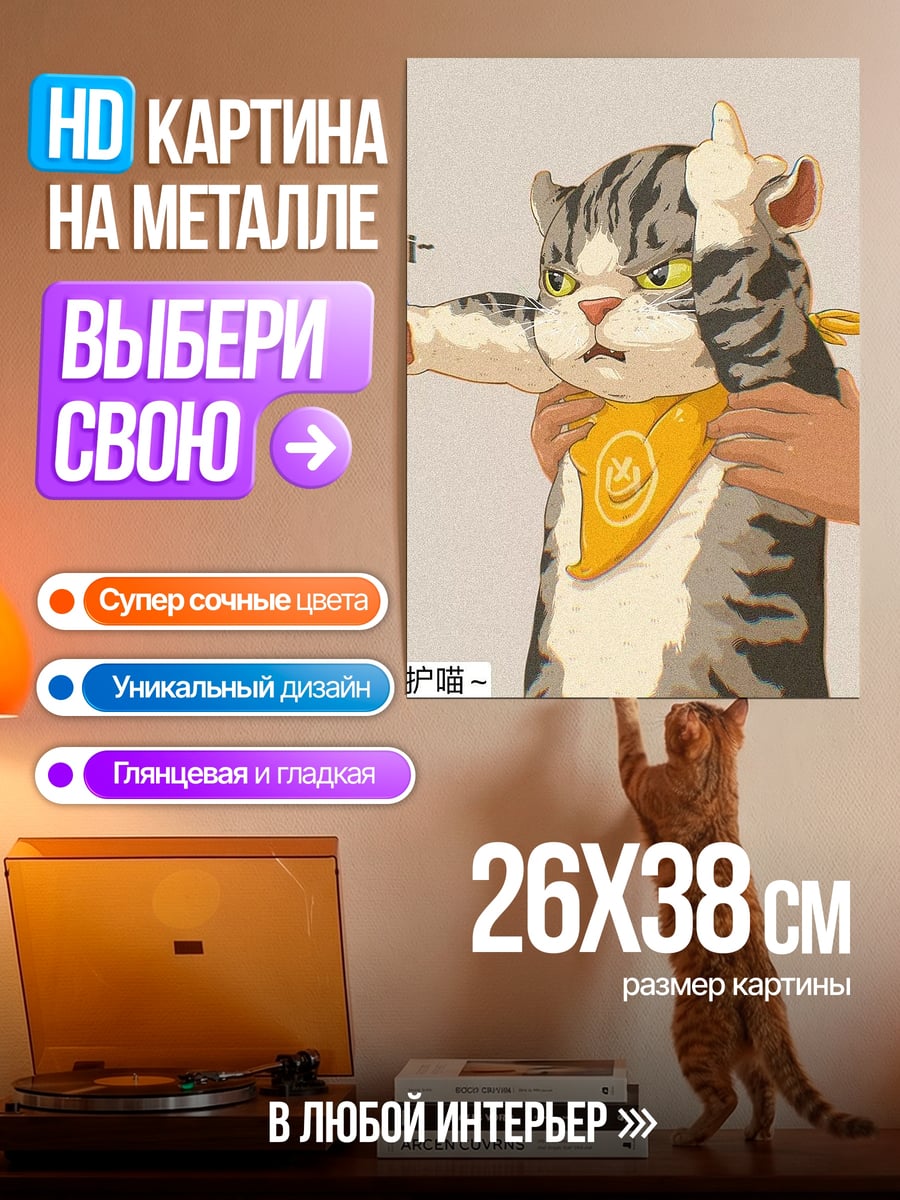 Картина на металле Кот показывает средний палец