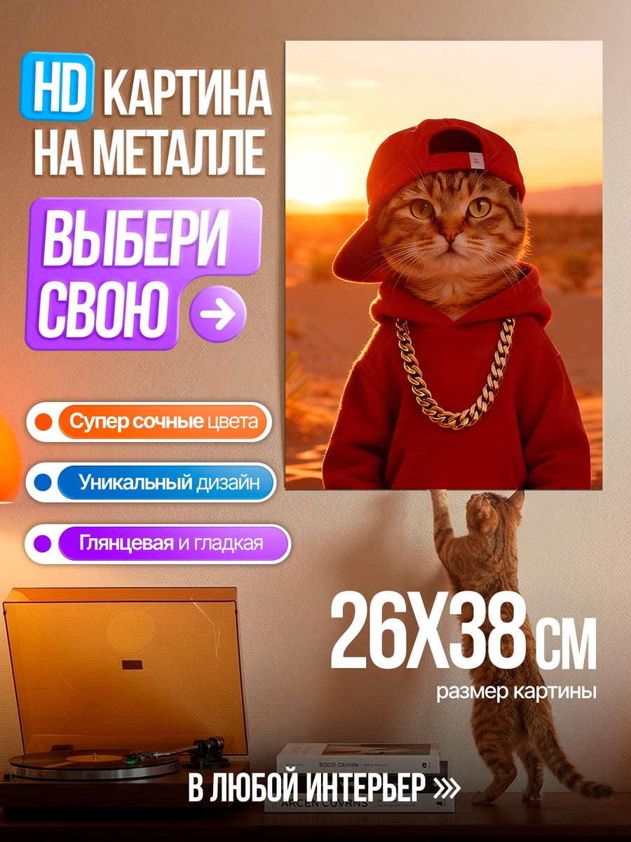 Картина на металле Кот рэпер