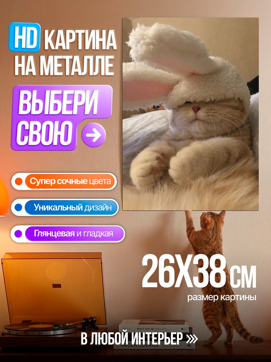 Картина на металле Кот в шапке
