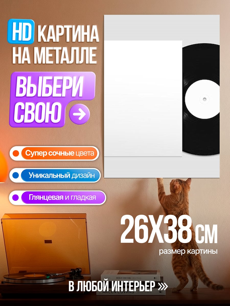 Картина на металле Виниловая пластинка