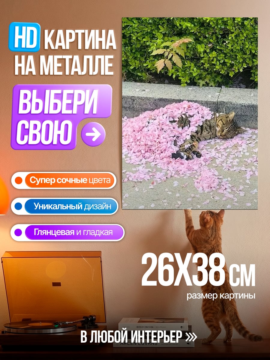 Картина на металле Кот в лепестках сакуры