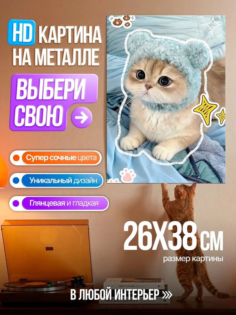 Картина на металле Кот в шапке