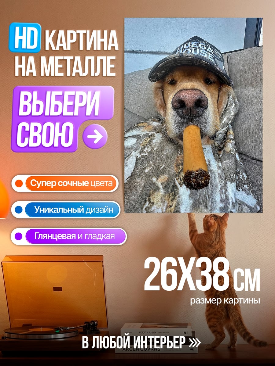 Картина на металле Золотистый ретривер с сигарой