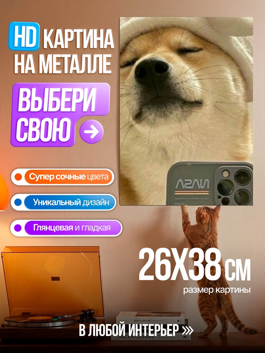 Картина на металле Собака в шапке