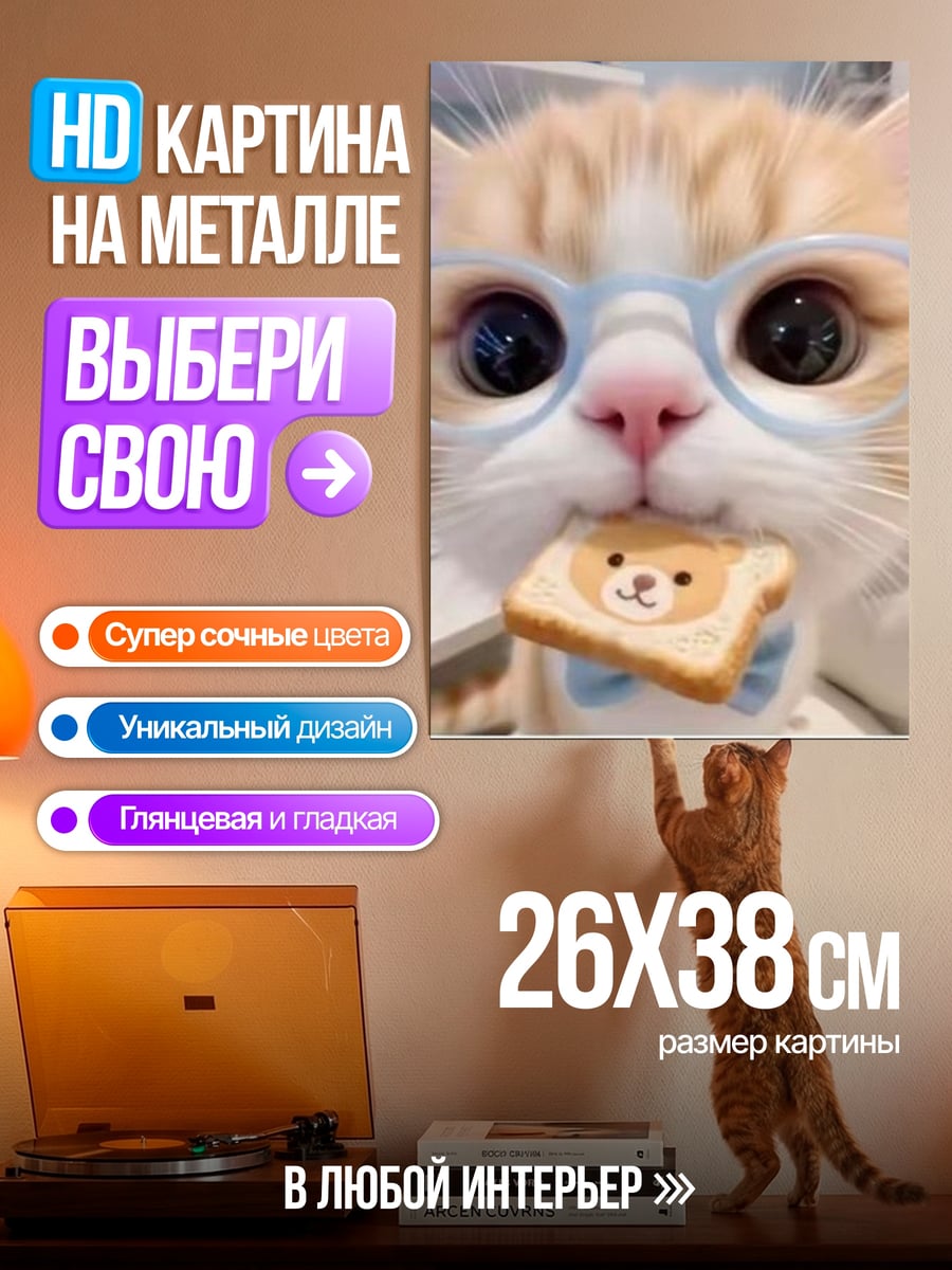Картина на металле Кот в очках