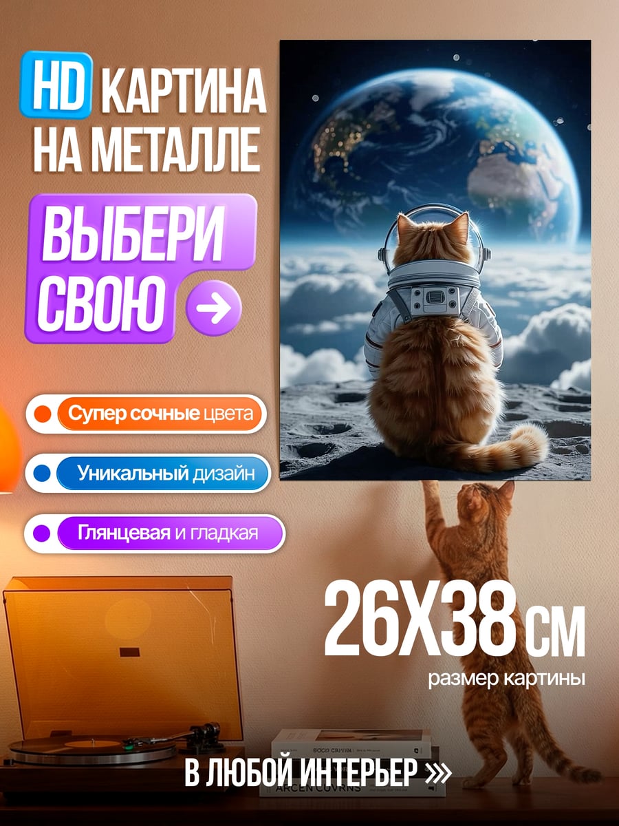 Картина на металле Кот космонавт