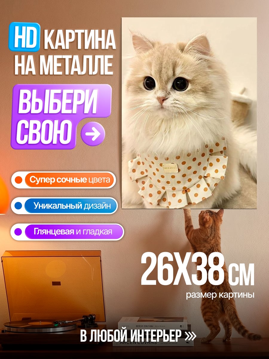 Картина на металле Пушистый кот в бандане