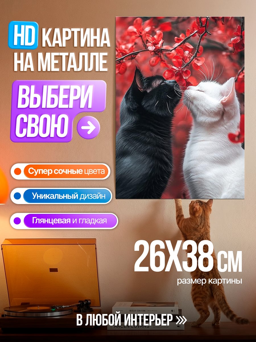 Картина на металле Черно-белые коты любовь