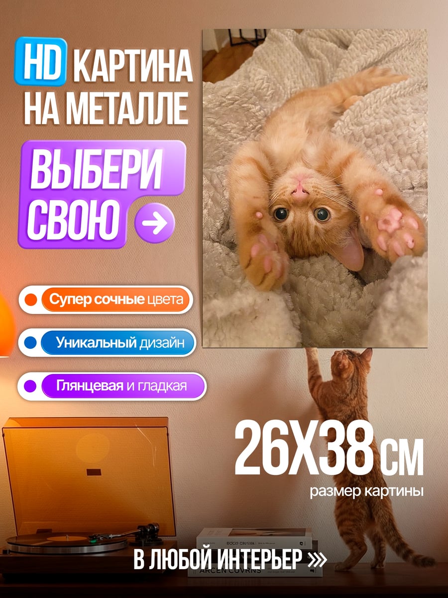 Картина на металле Котёнок на одеяле