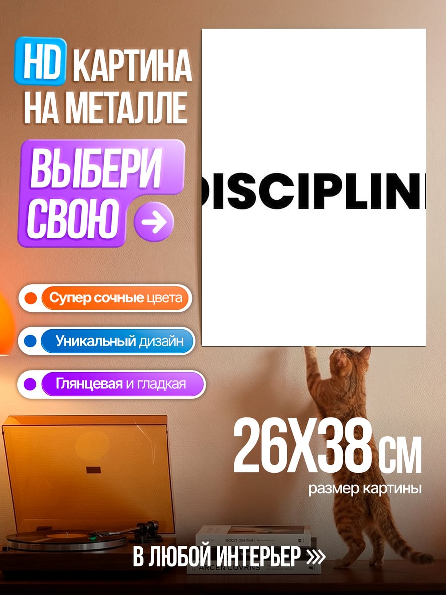 Картина на металле Дисциплина