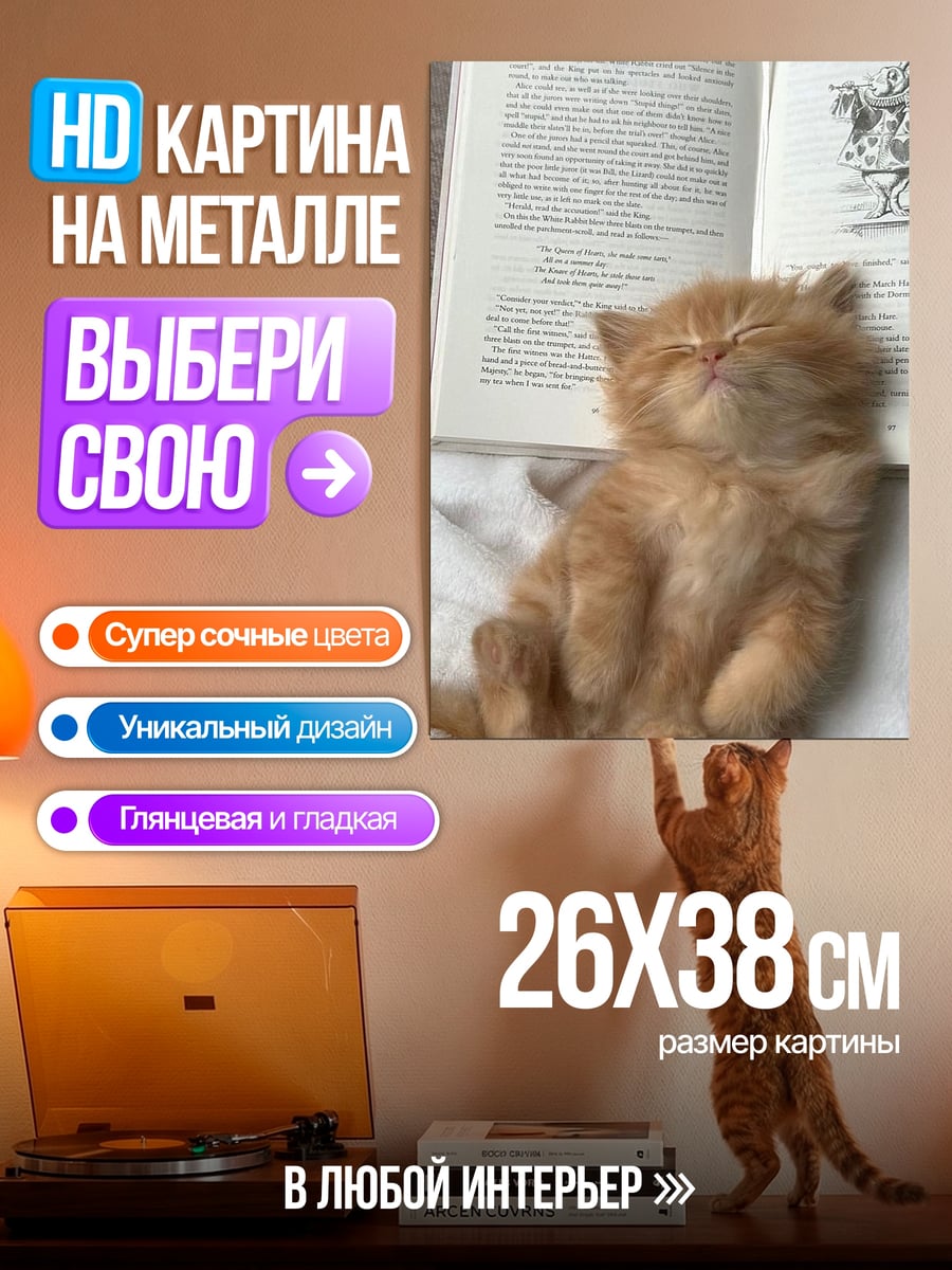 Картина на металле Кот спит на книге