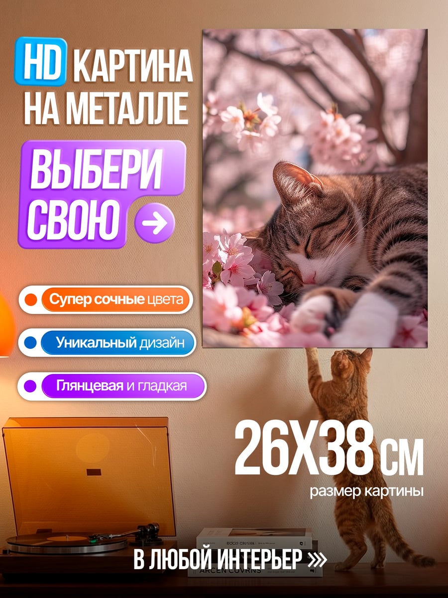 Картина на металле Кот под сакурой