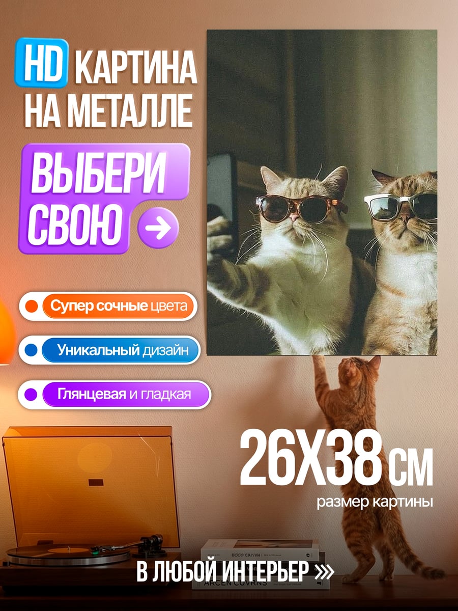 Картина на металле Коты селфи