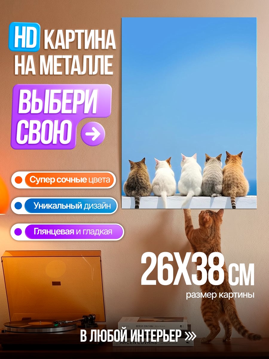 Картина на металле Пять котов на стене