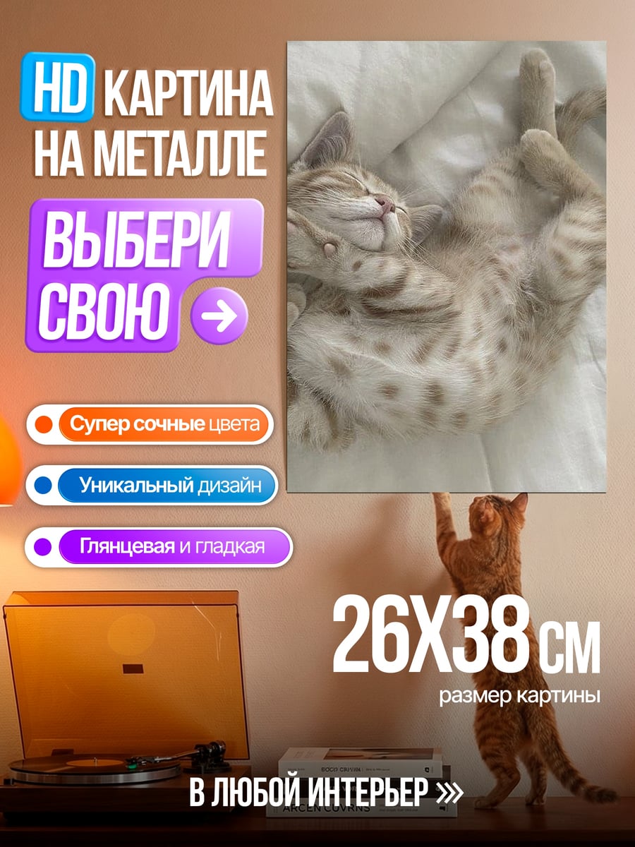 Картина на металле Спящий котенок