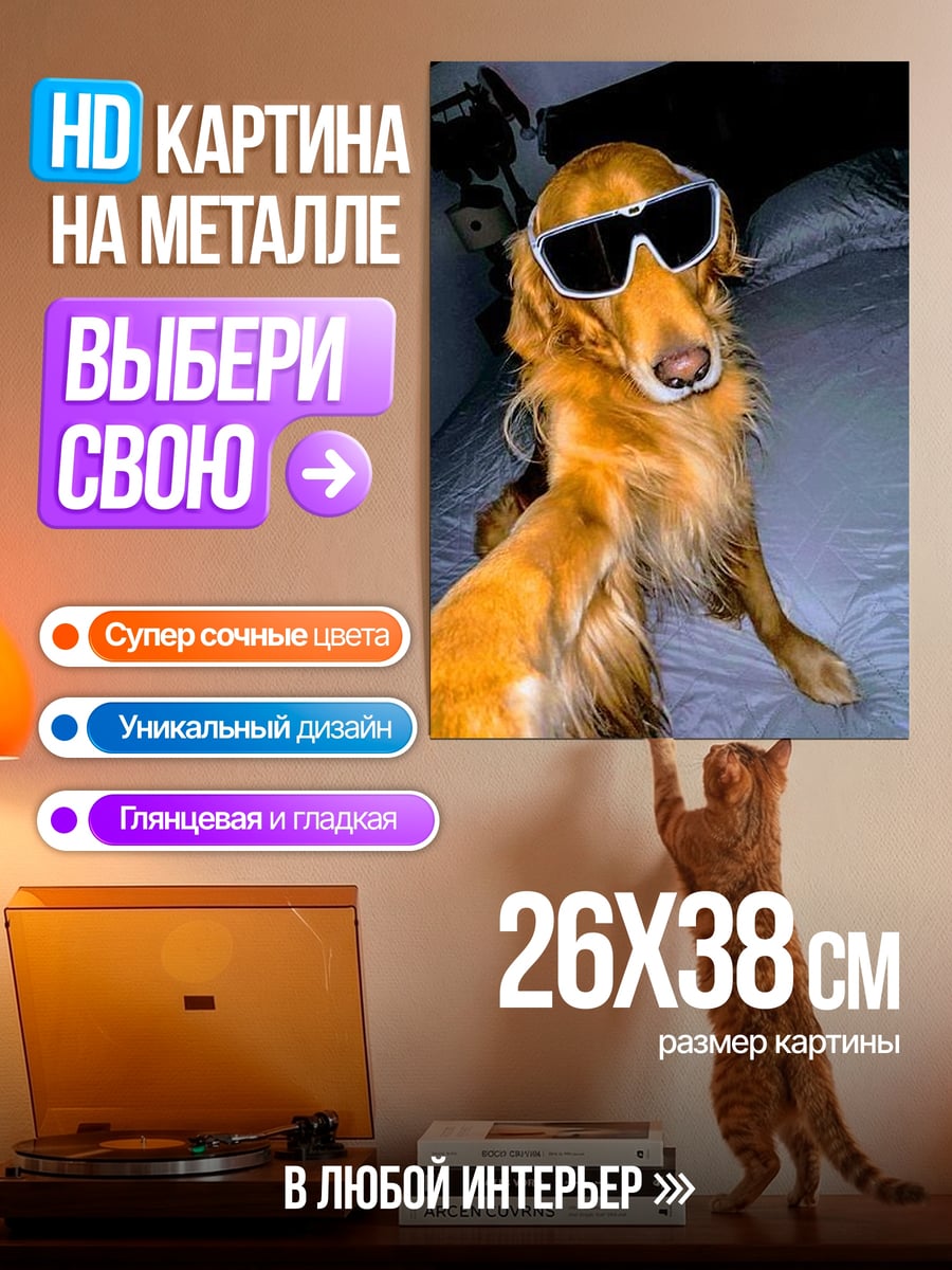 Картина на металле Собака в очках