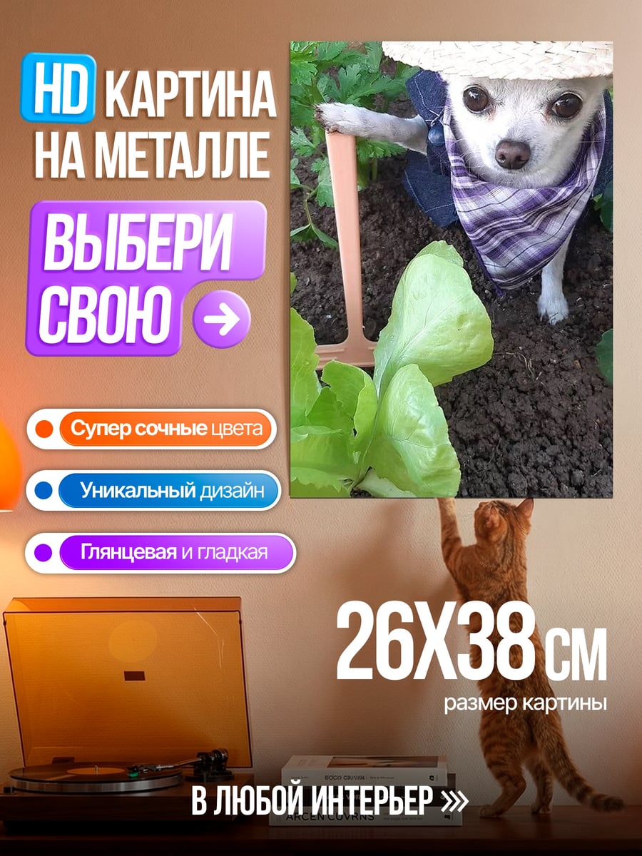 Картина на металле Чихуахуа садовник