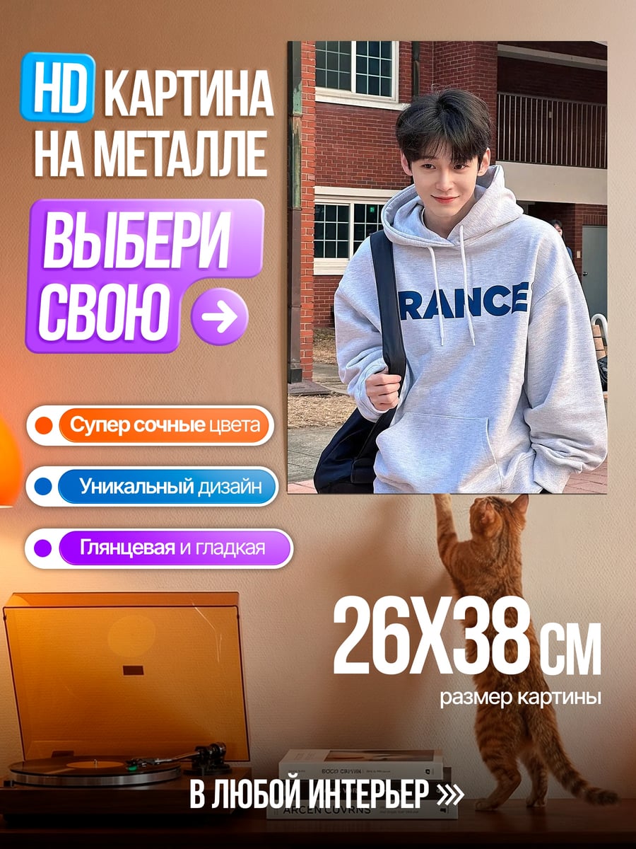 Картина на металле Парень в толстовке RANCE