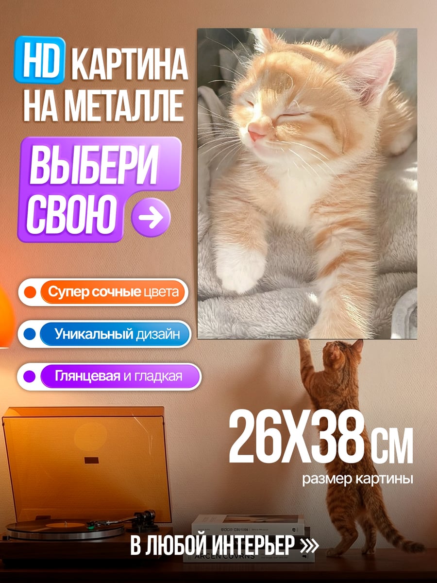 Картина на металле Рыжий котенок спит