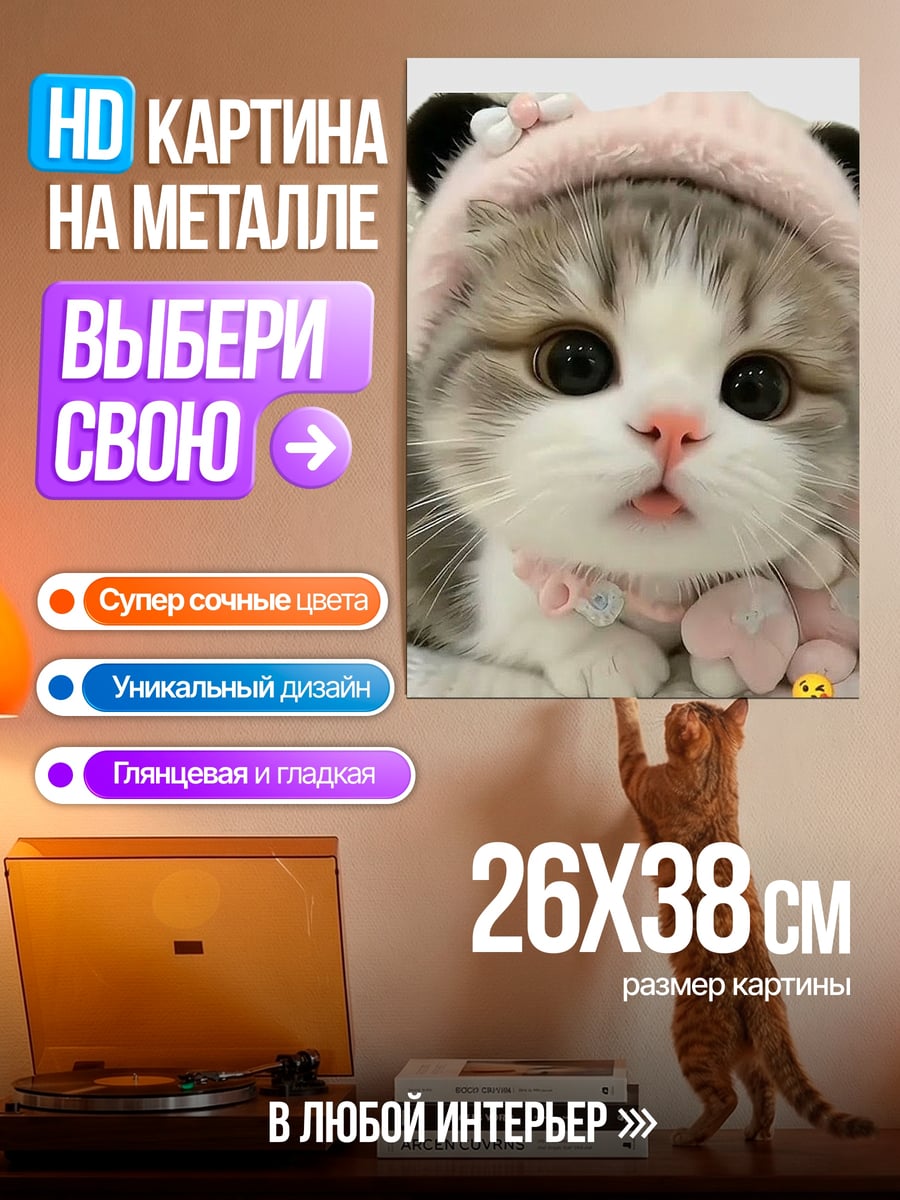 Картина на металле Милый котенок в шапке