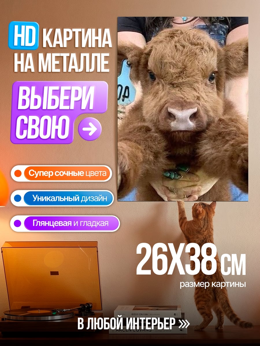 Картина на металле Маленький бычок