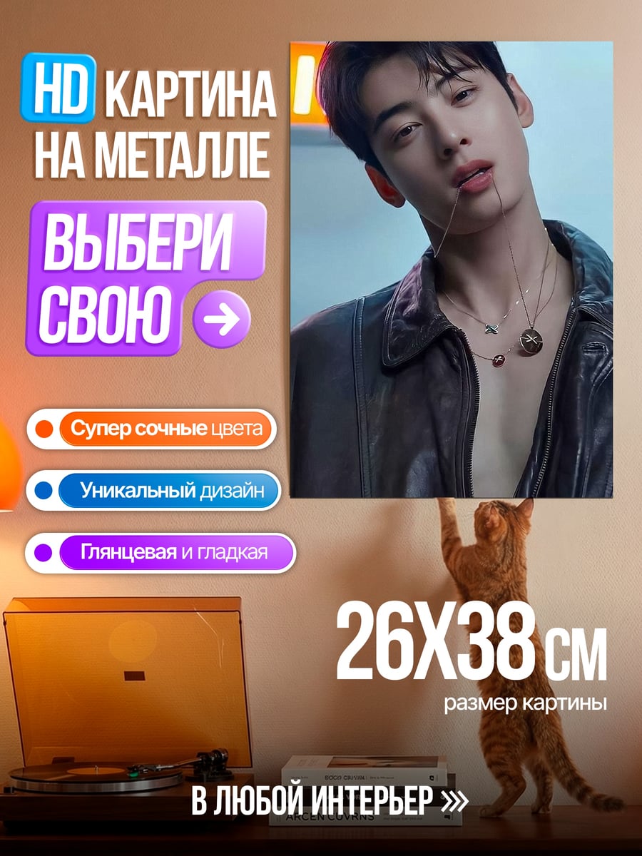 Картина на металле Портрет Ча Ын У