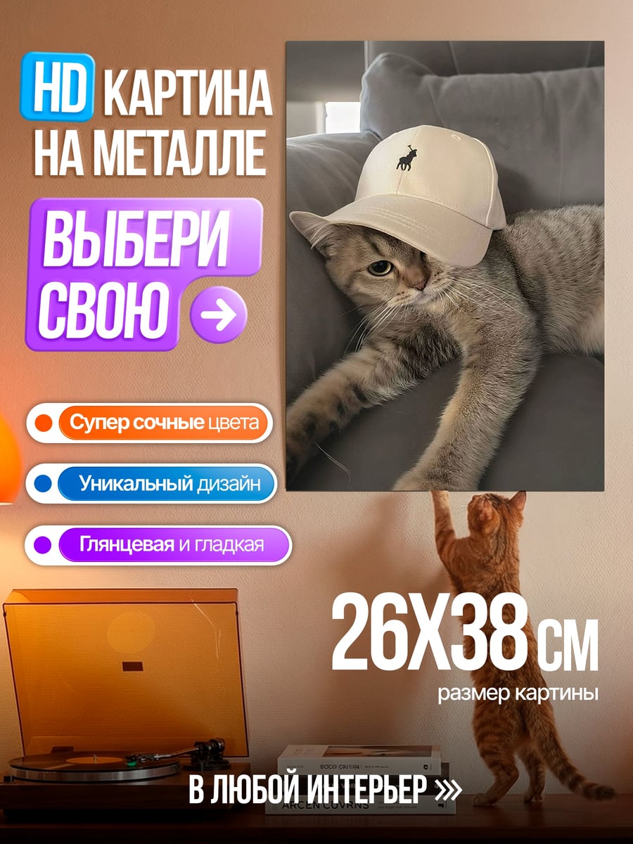 Картина на металле Кот в кепке