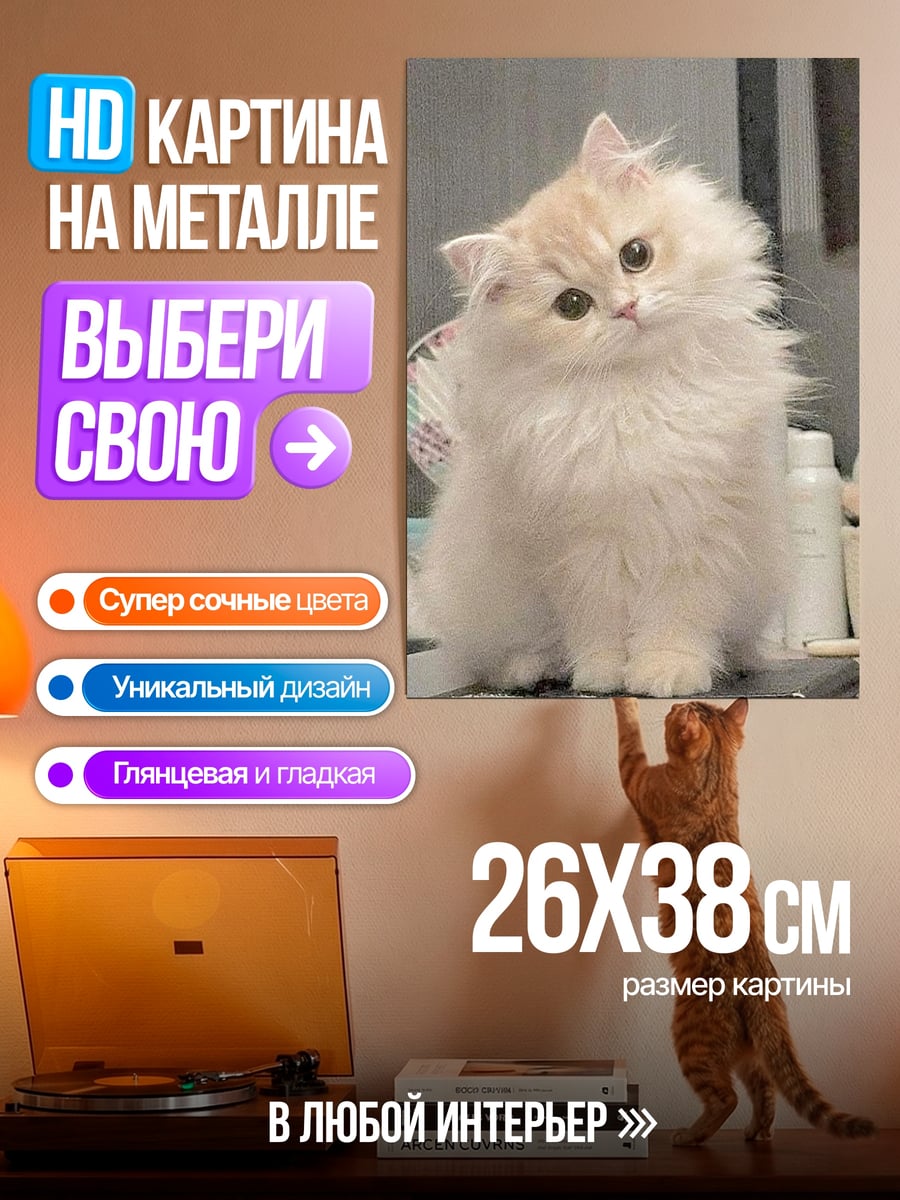 Картина на металле Пушистый котенок