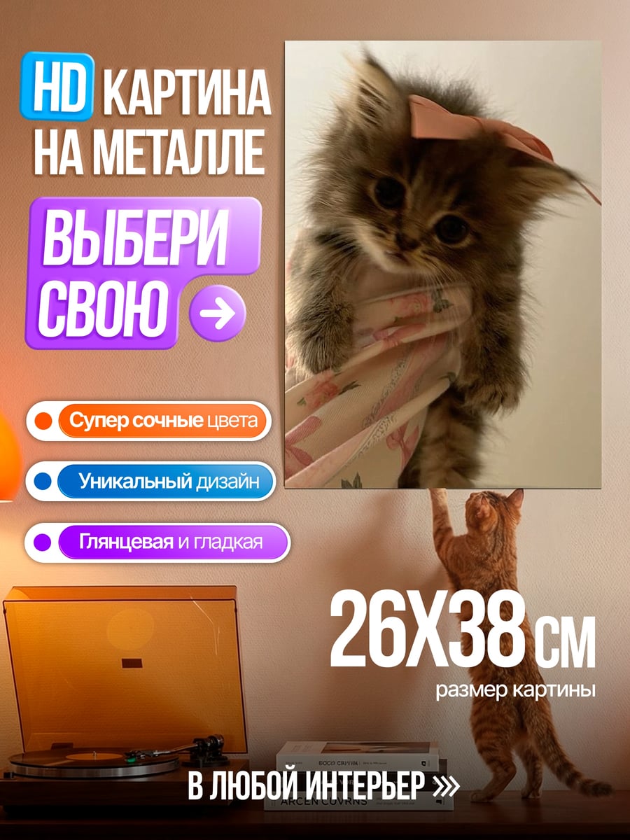 Картина на металле Пушистый котенок с бантом