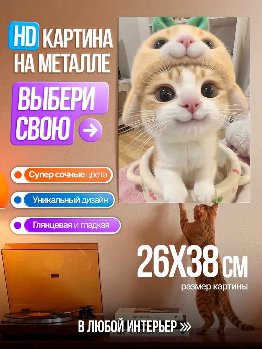 Картина на металле Кот в шляпе