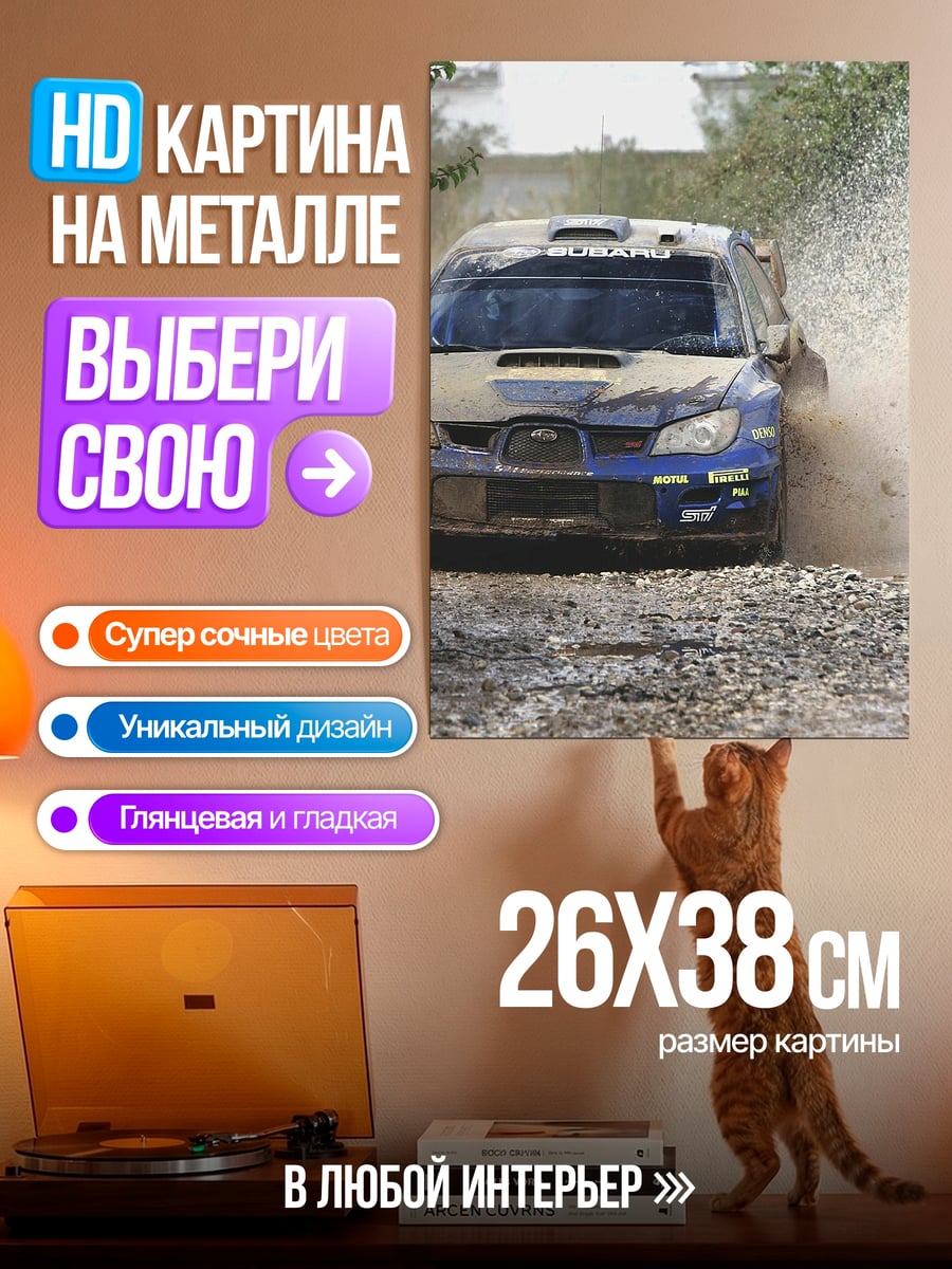 Картина на металле Раллийный автомобиль в грязи