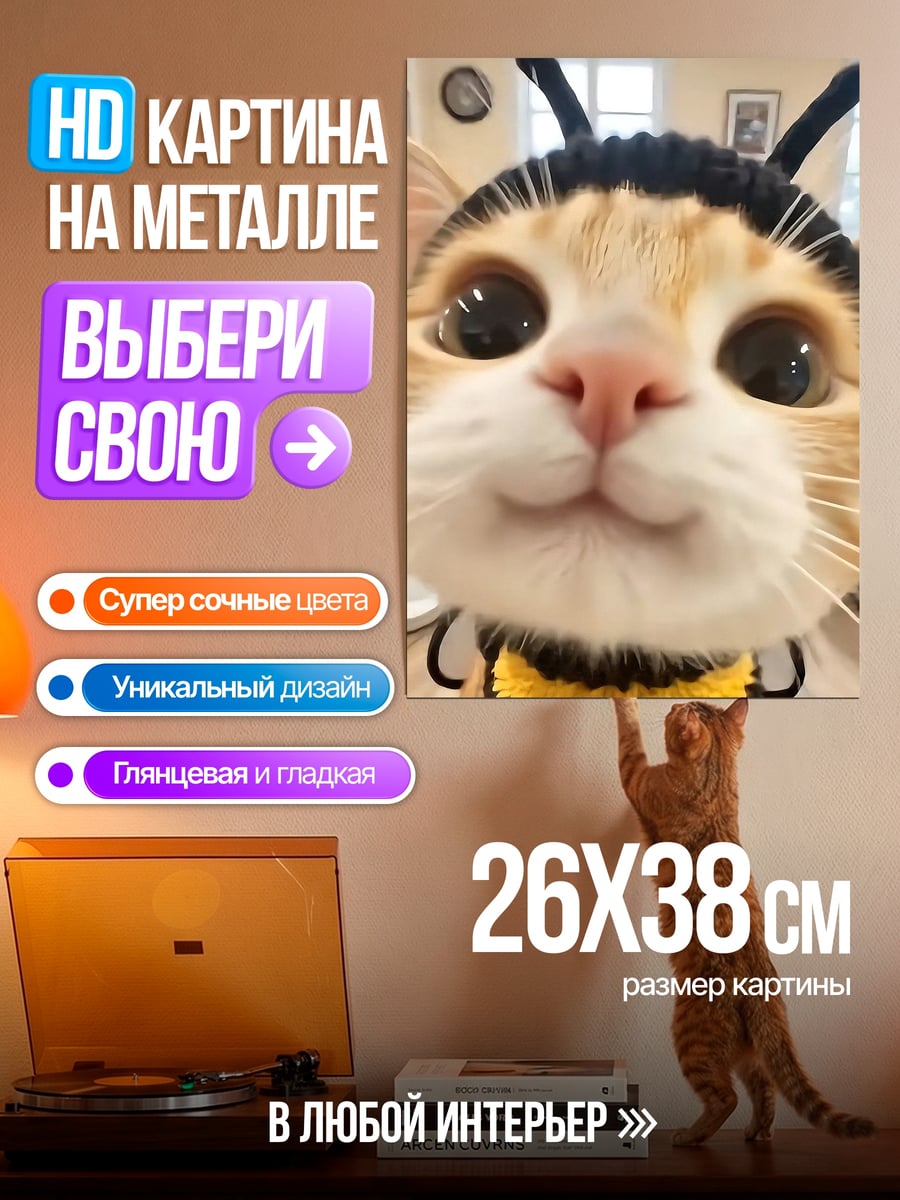 Картина на металле Кот пчелка