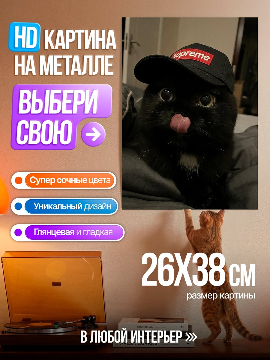 Картина на металле Черный кот Supreme