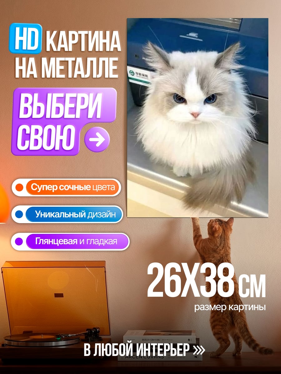 Картина на металле Сердитый кот