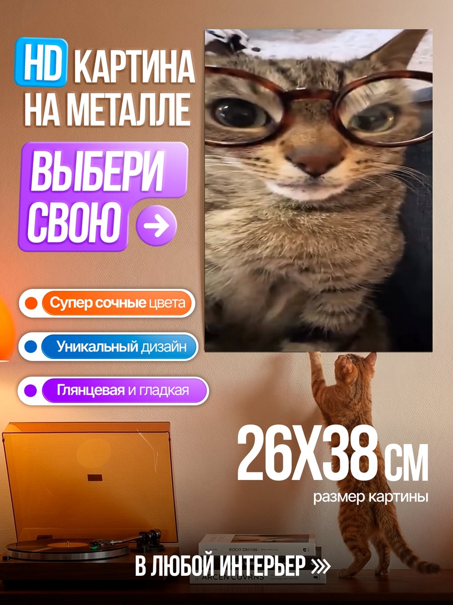 Картина на металле Кот в очках