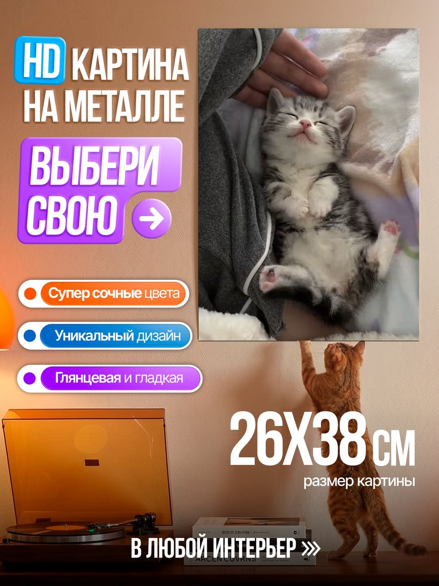 Картина на металле Спящий котёнок