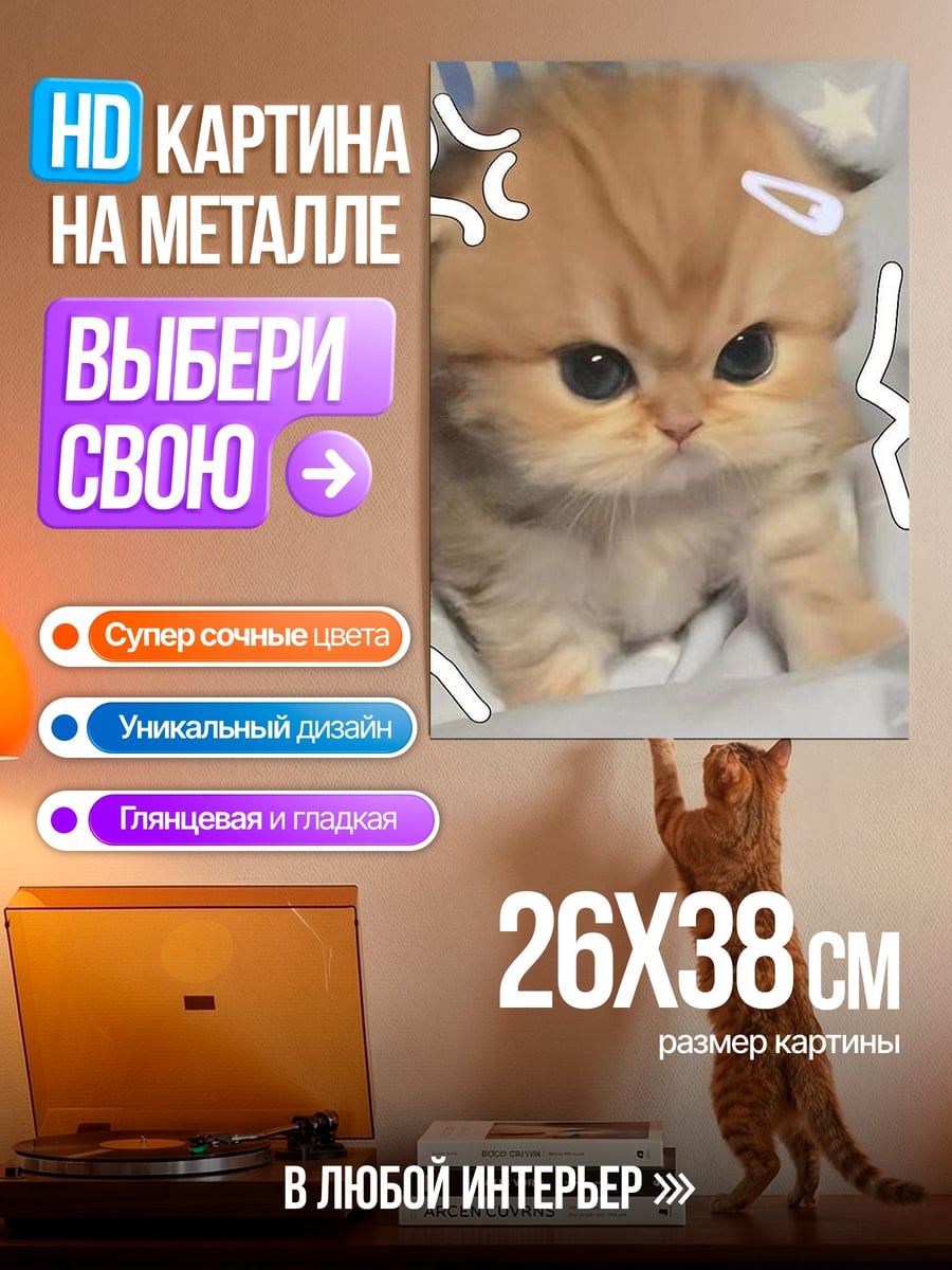 Картина на металле Сердитый котенок