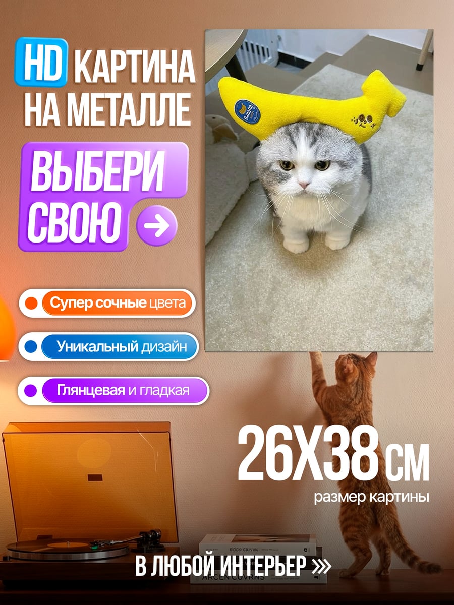 Картина на металле Кот с бананом