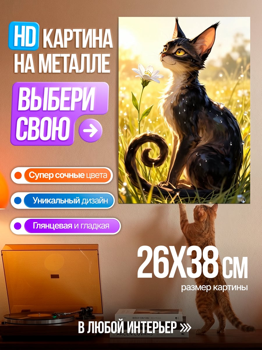 Картина на металле Черный кот на лугу