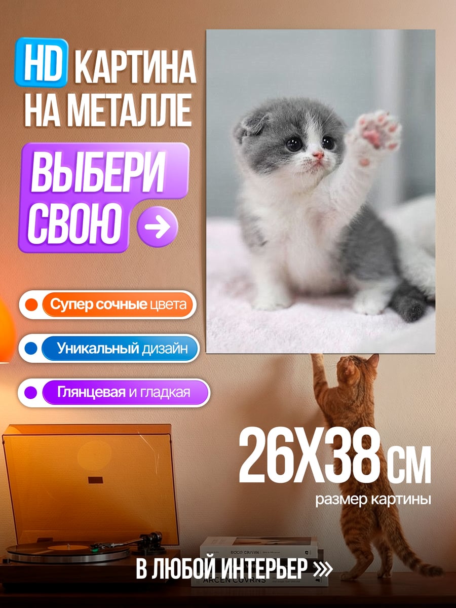 Картина на металле Котёнок машет лапкой