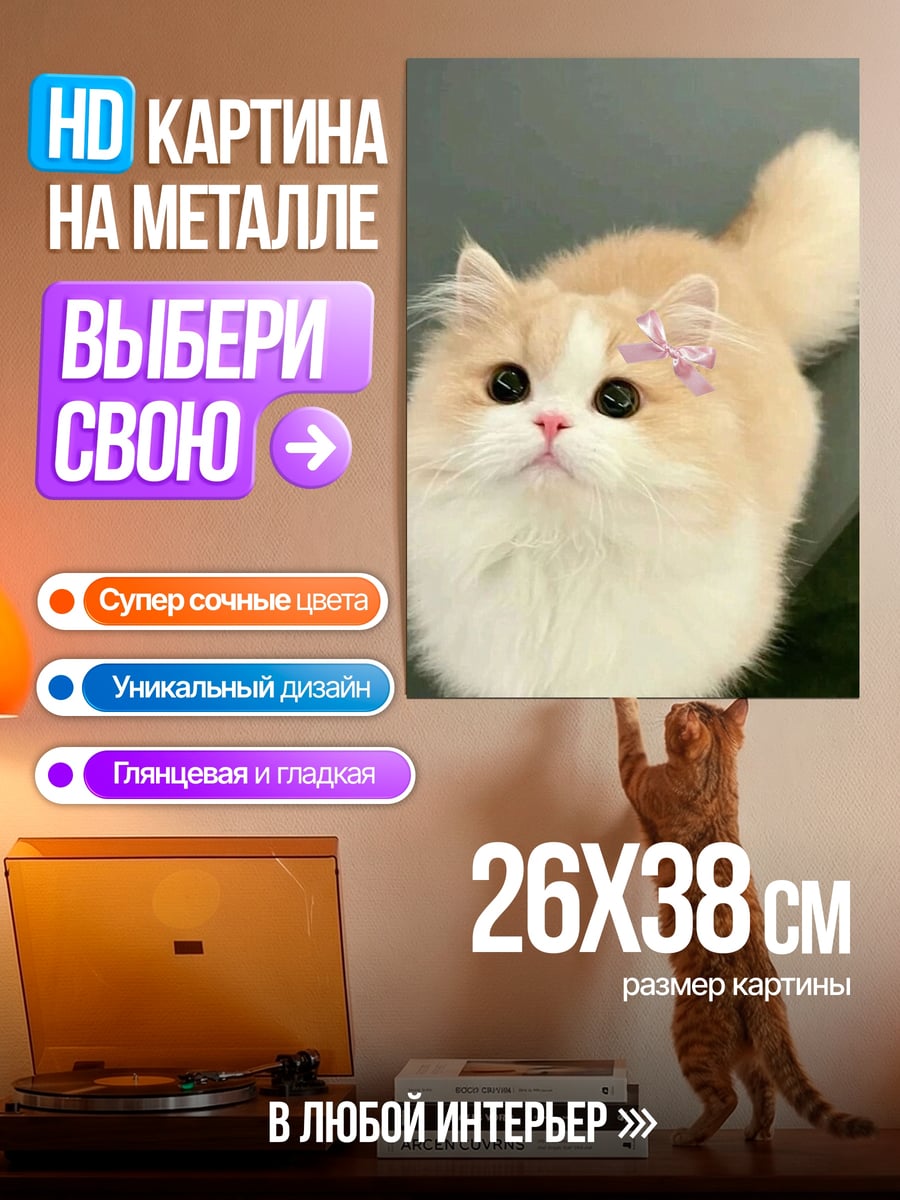 Картина на металле Пушистый кот с бантом