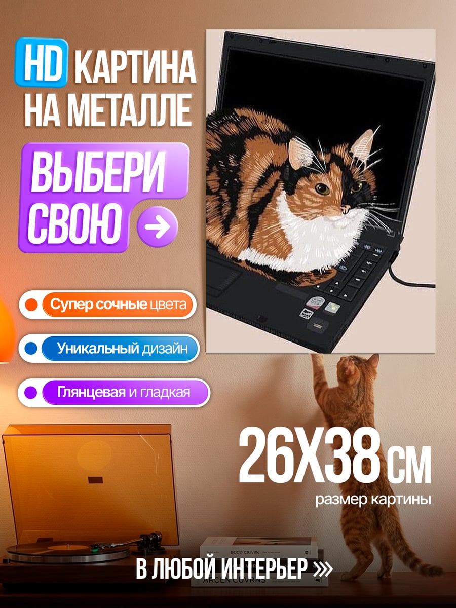 Картина на металле Кот в ноутбуке